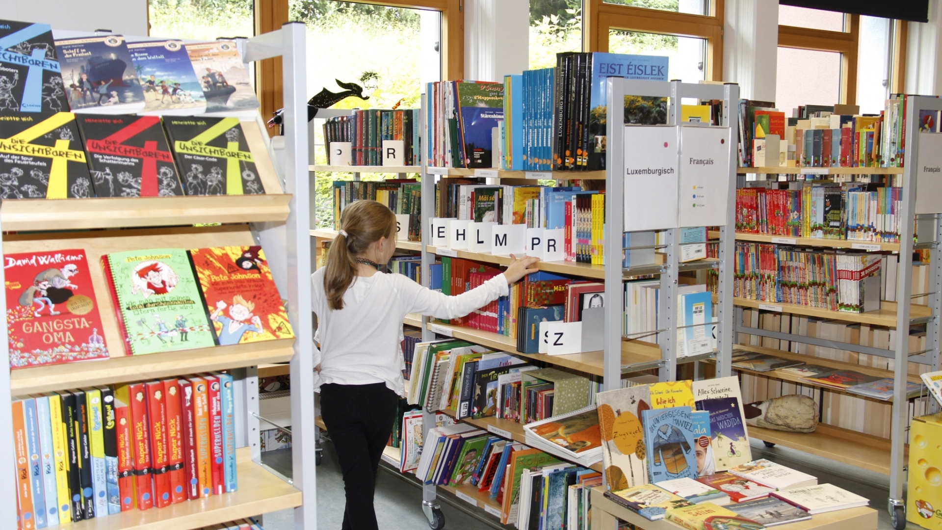 Médiathèque Sandweiler(resize)