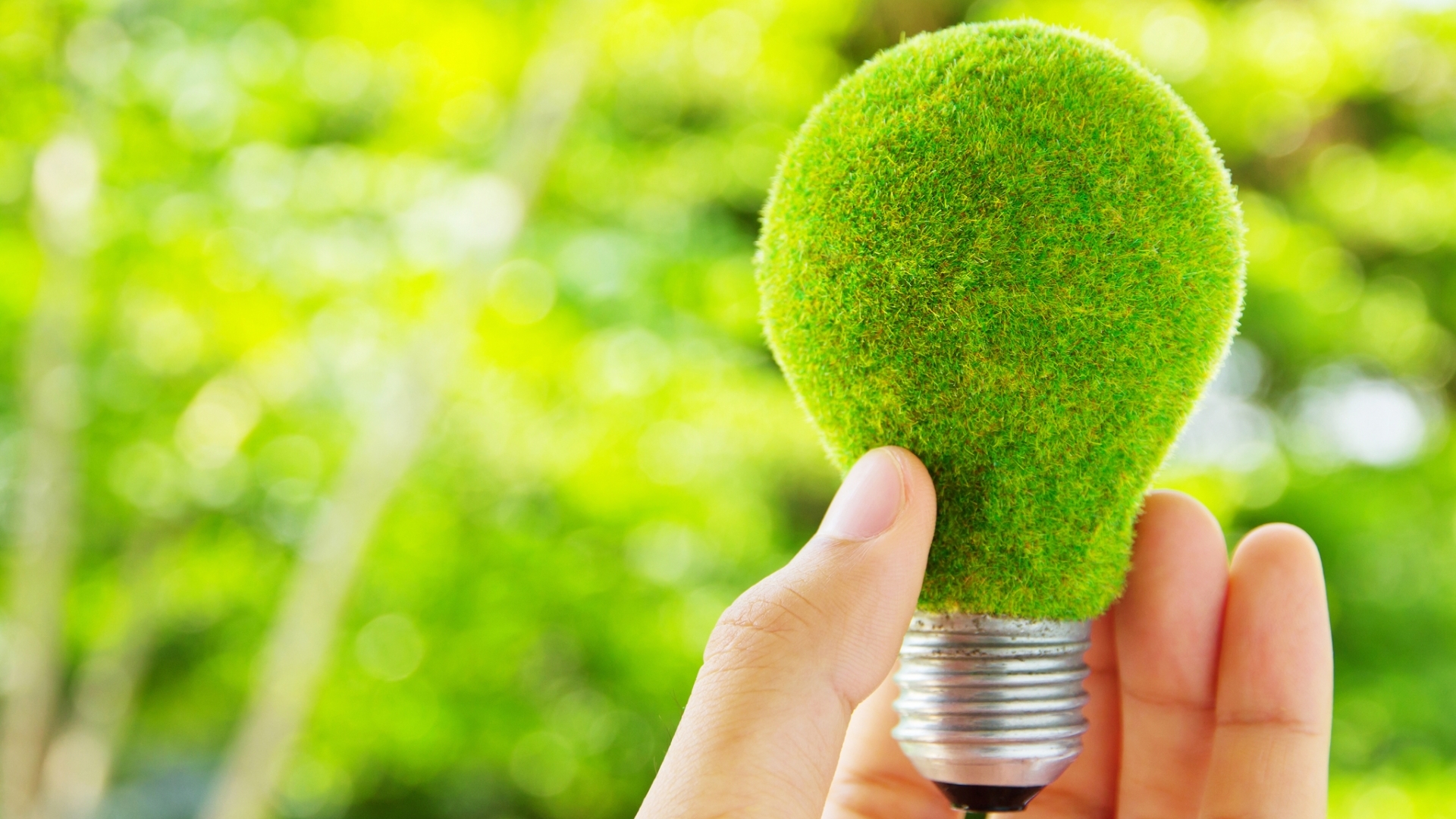 Allocations et subsides (2) (resize)