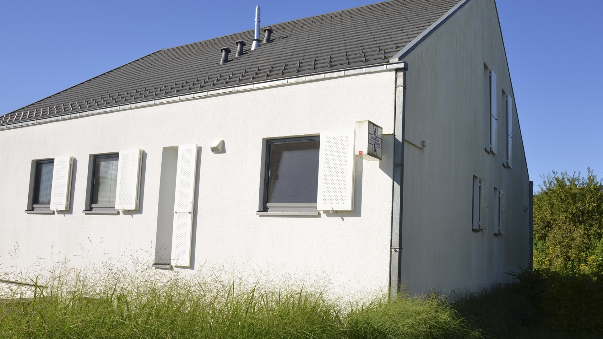 Vétérinaire Sandweiler (resize)