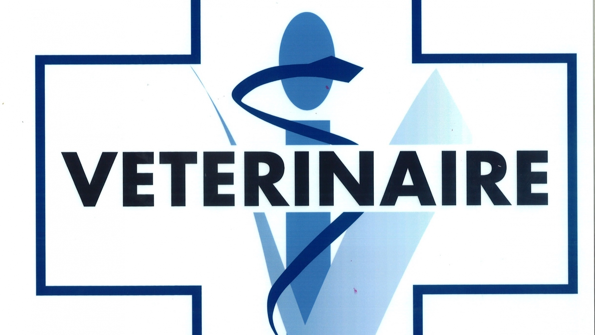veterinaire picto