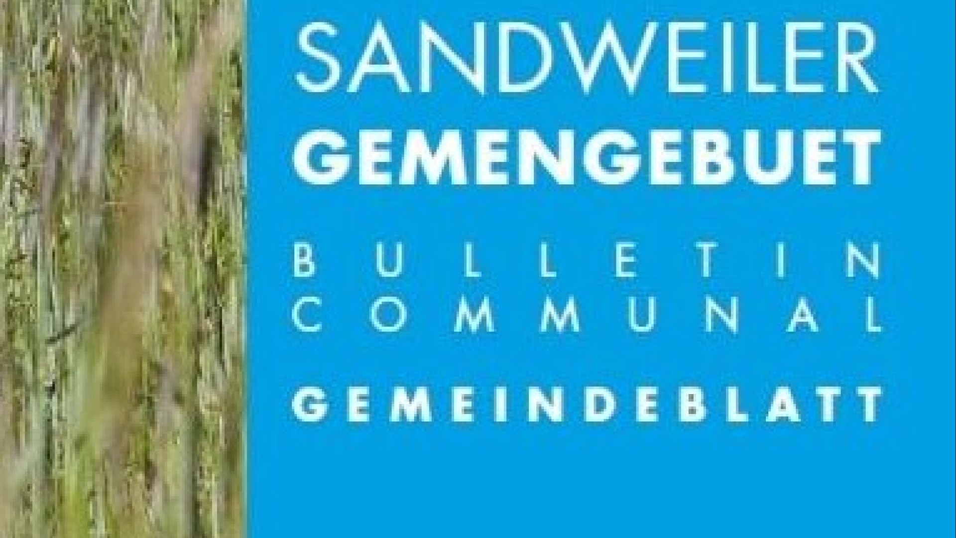 photo 1ere page (small)