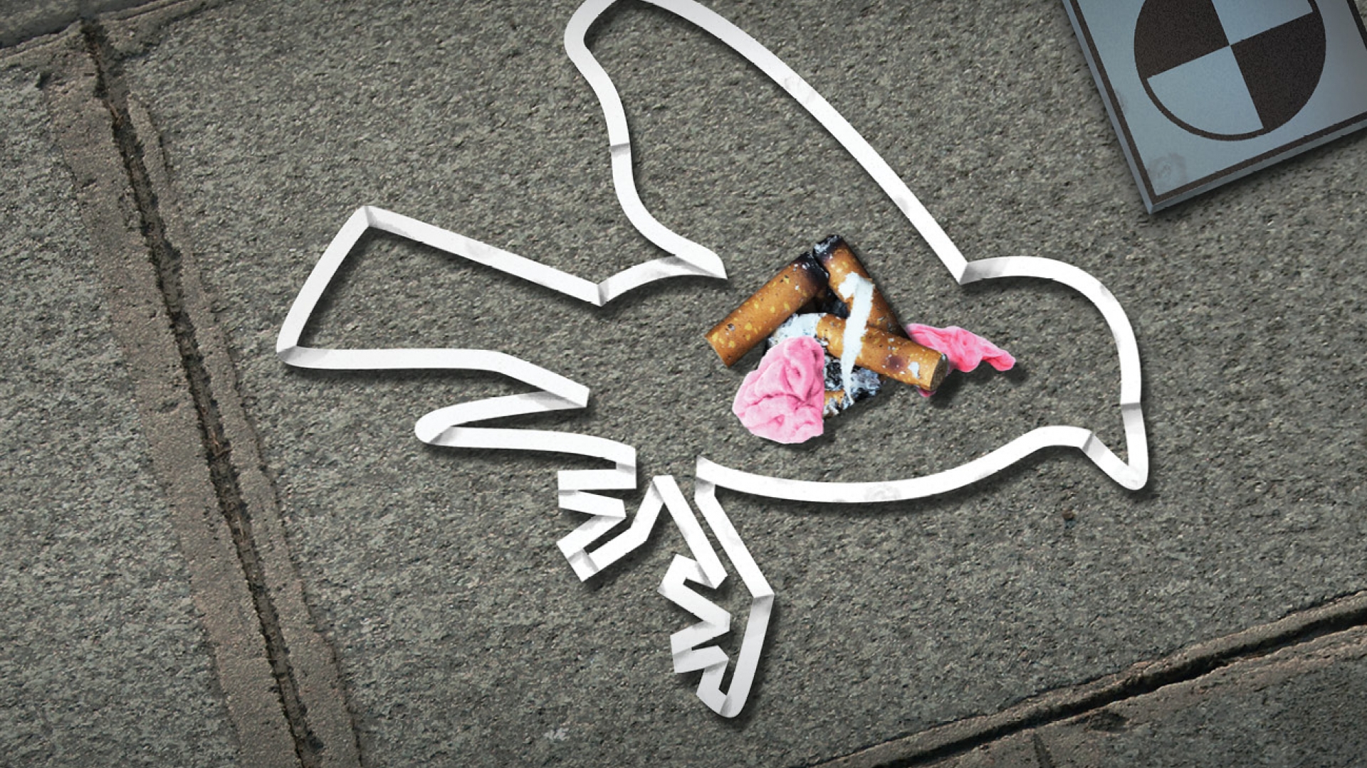 05-Littering-poster-FR-oiseau