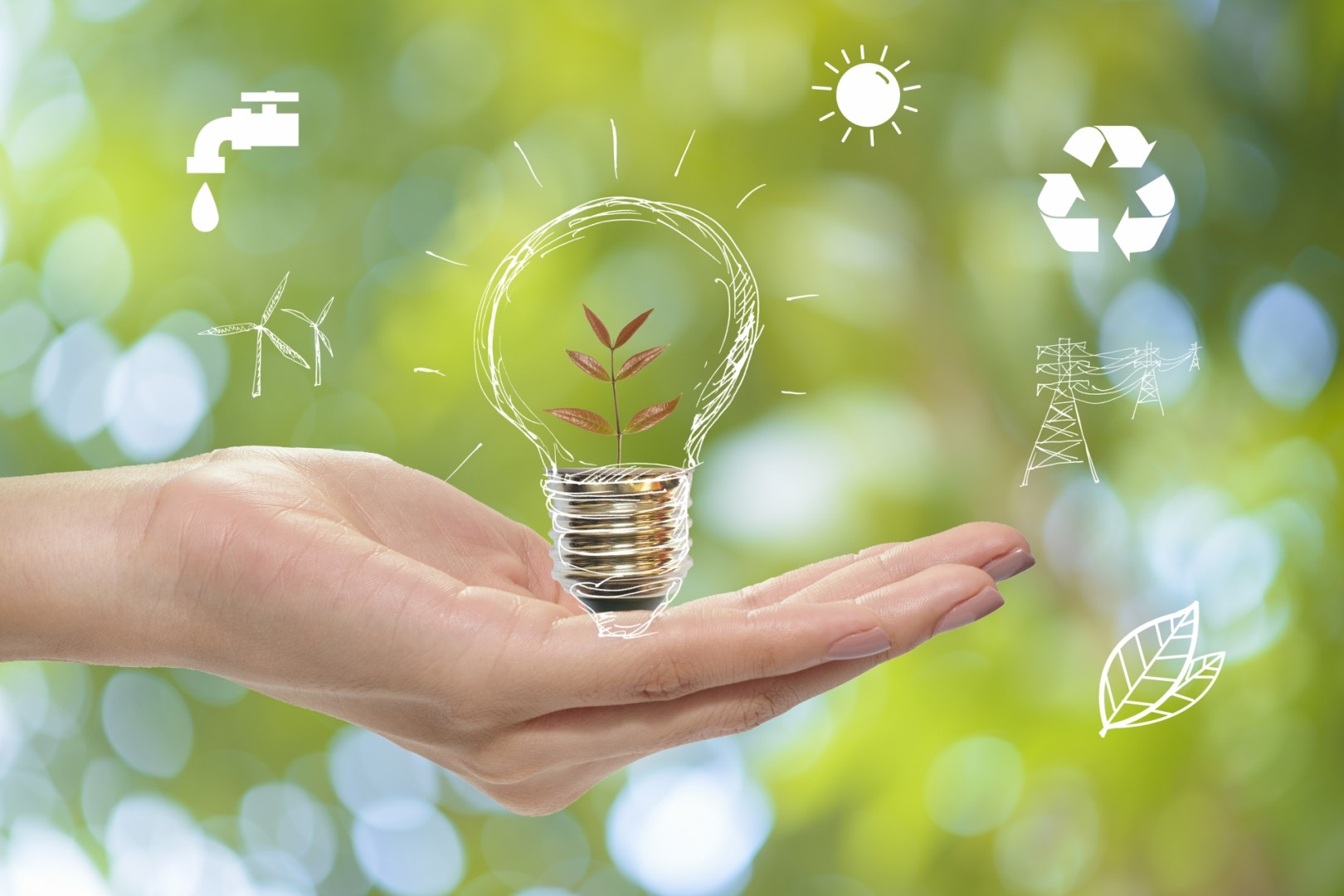 save earth bonnes pratiques