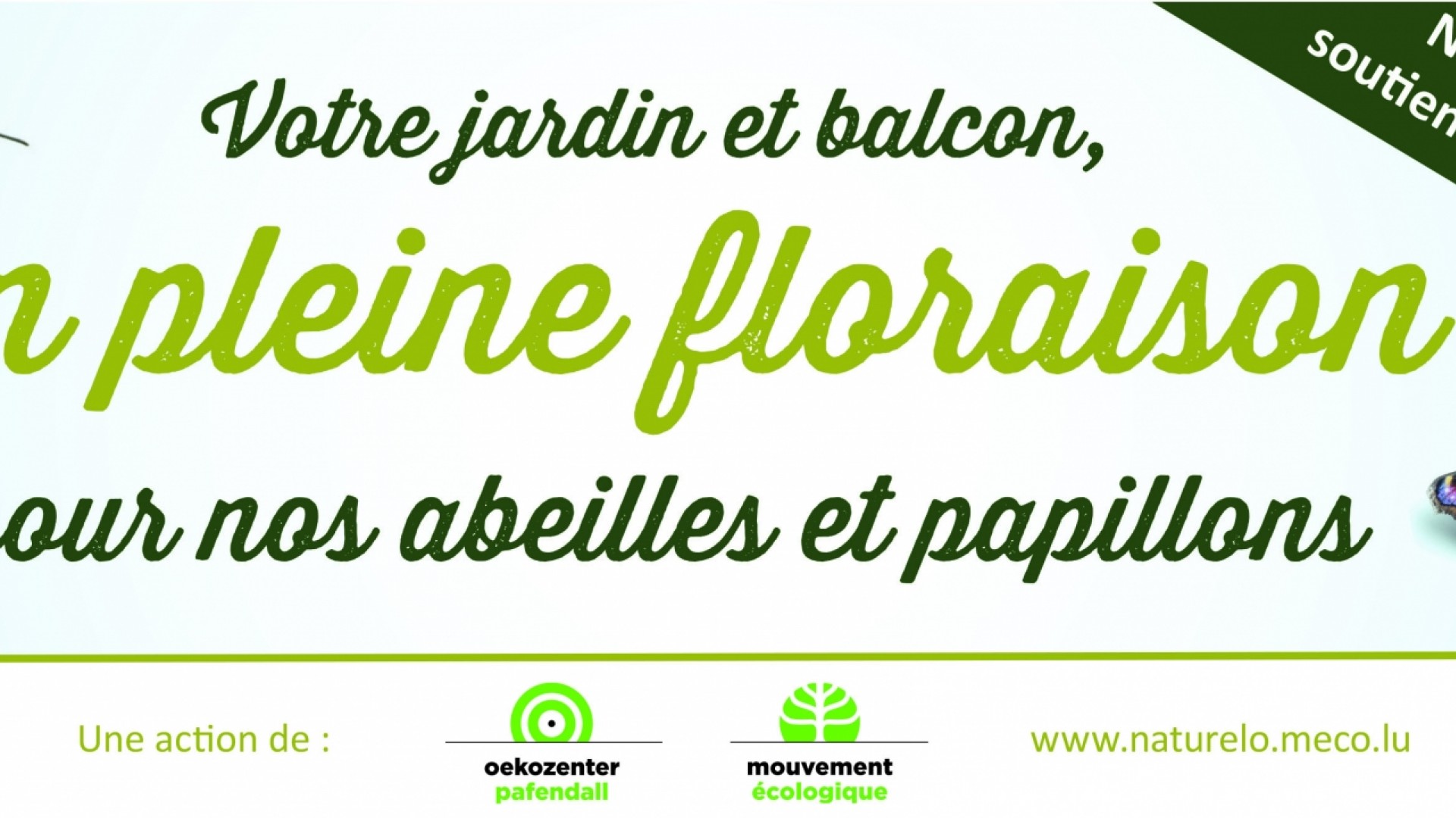 Meco facebook FR Gemengen a voller Blei