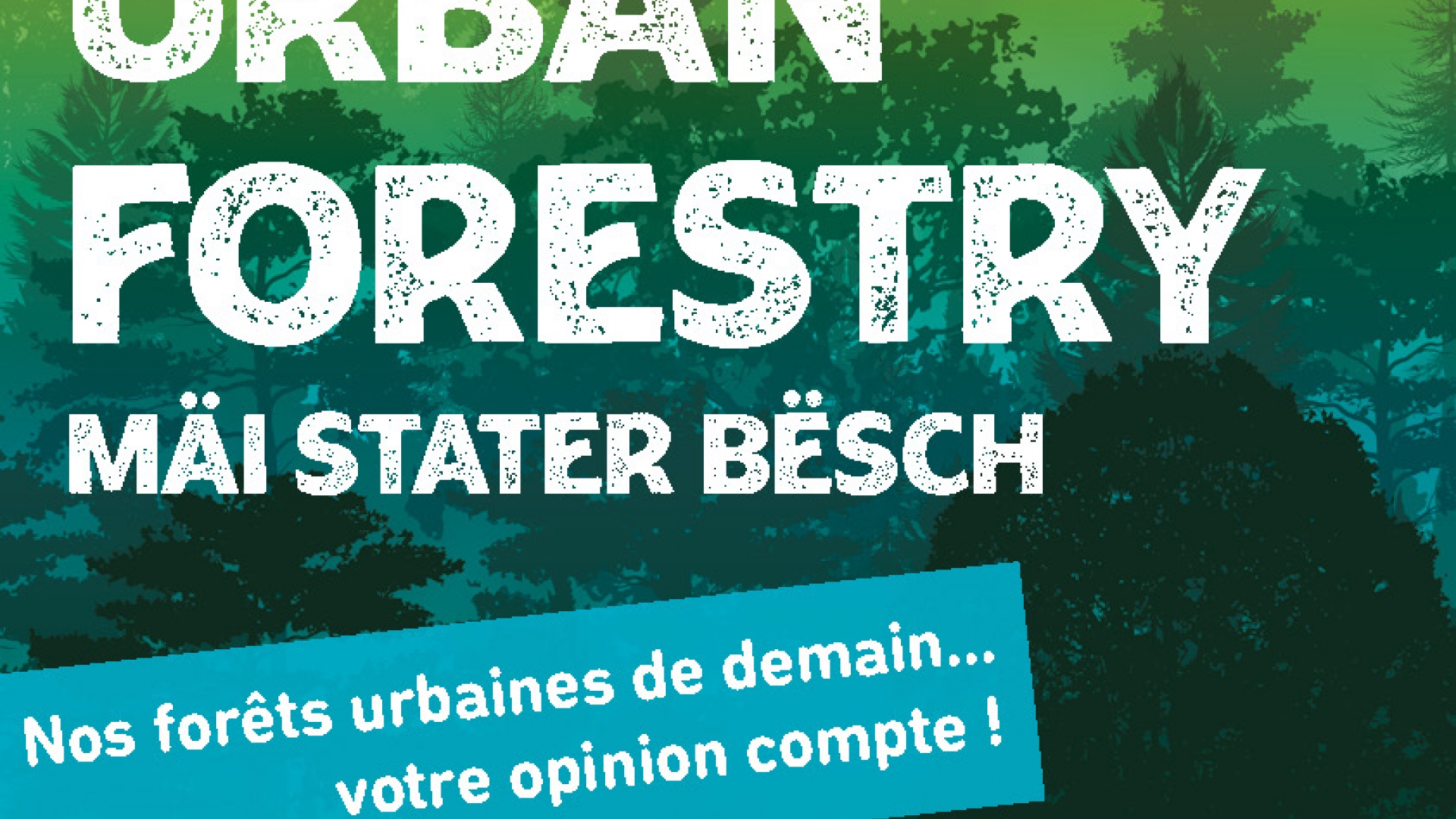 10888 VDL UF Aff-A3 cmyk print BAT-2