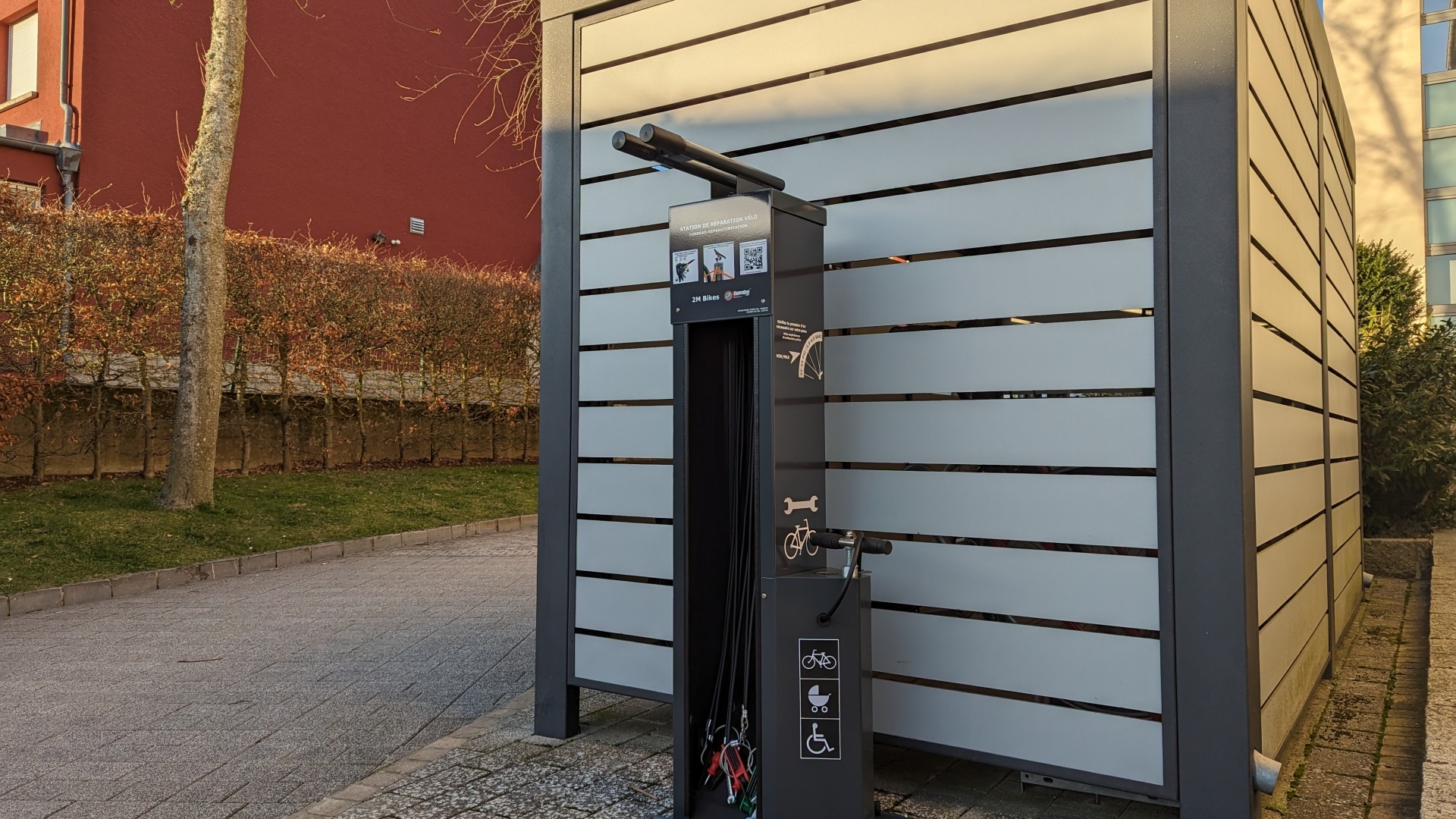 PXL 20230206 153717094