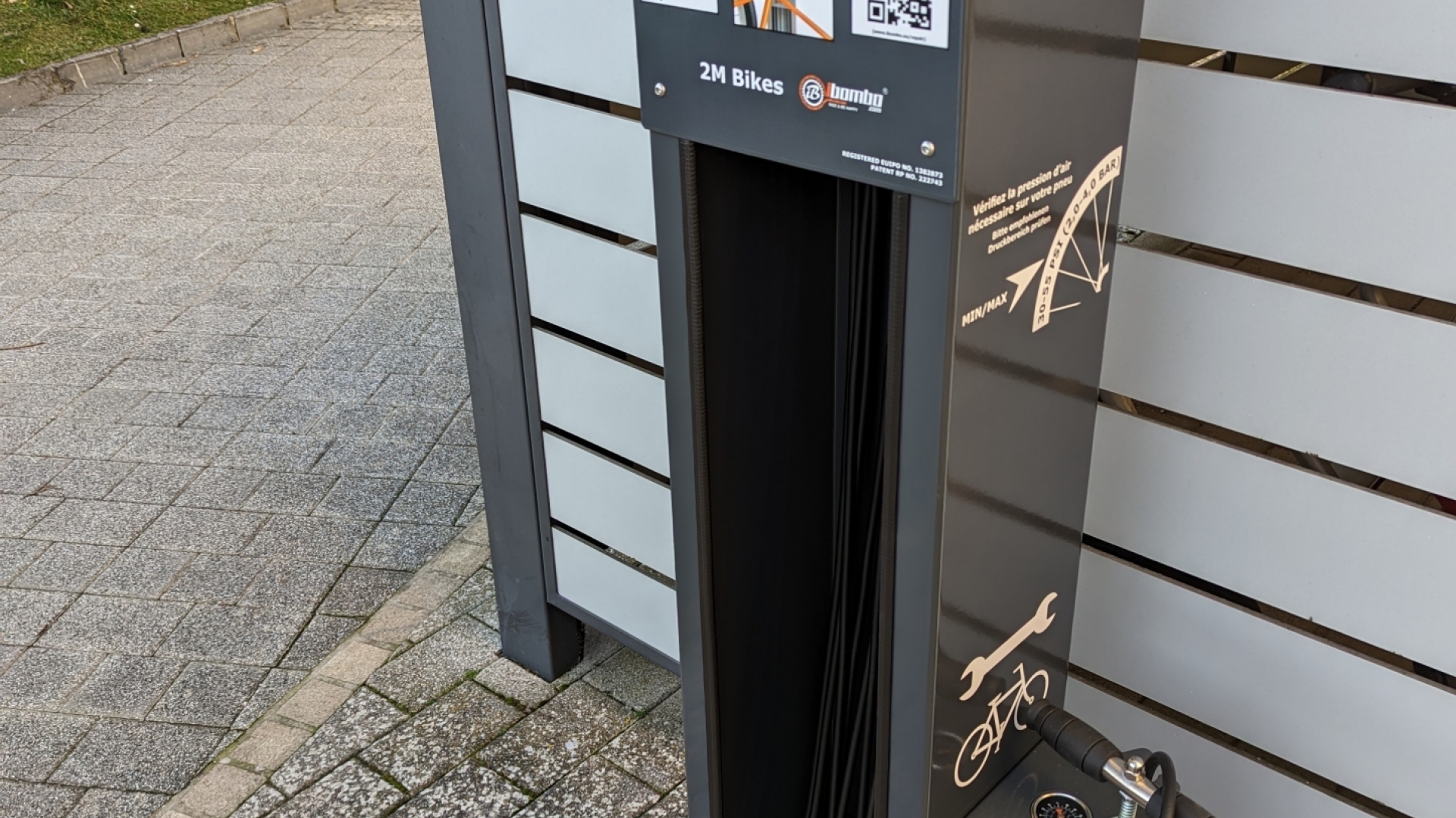 PXL 20230206 153804686