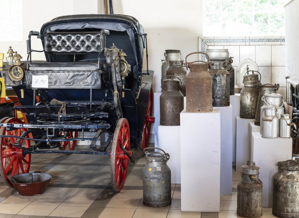 20092023- DSC7032- X