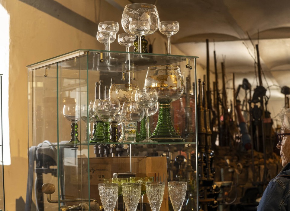 20092023- DSC7052- X