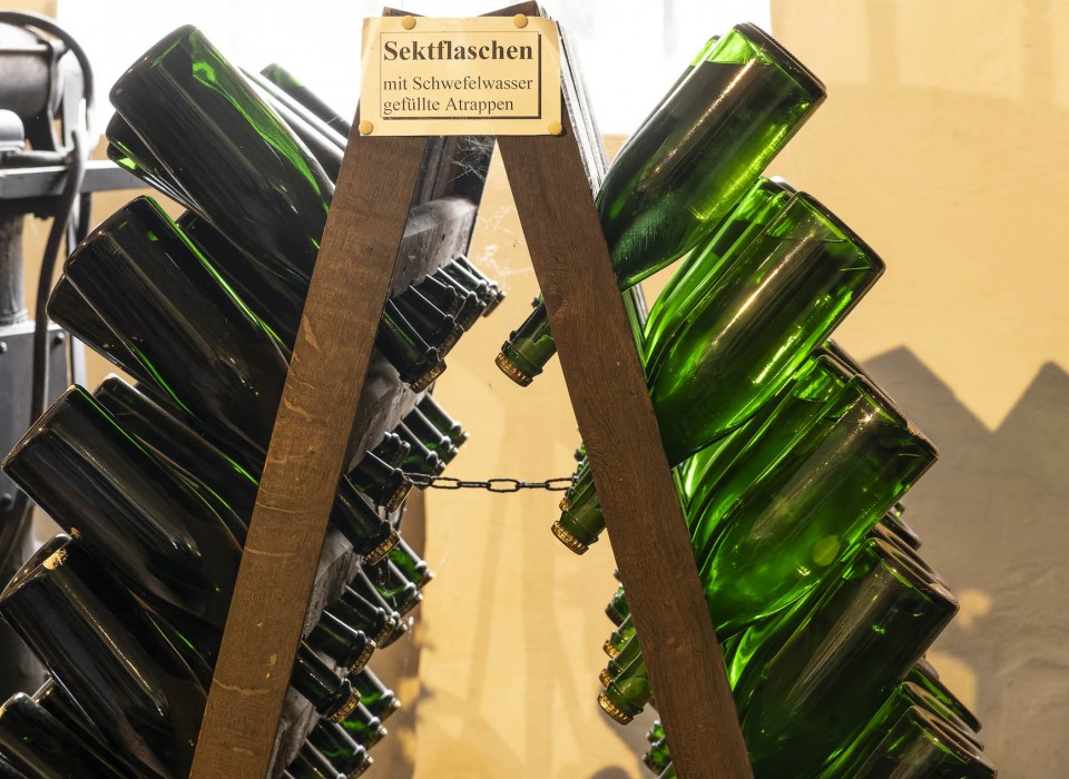 20092023- DSC7053- X