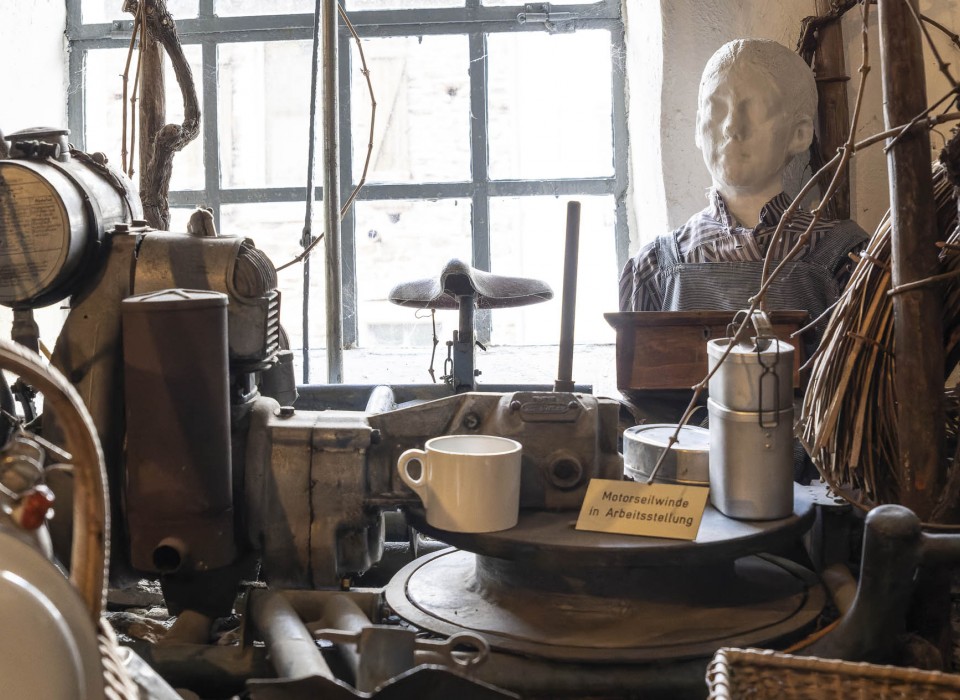 20092023- DSC7057- X