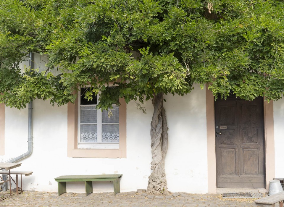 20092023- DSC7072- X