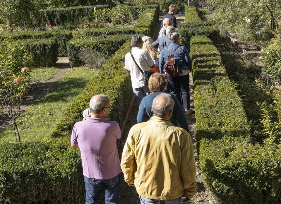 20092023- DSC7083- X