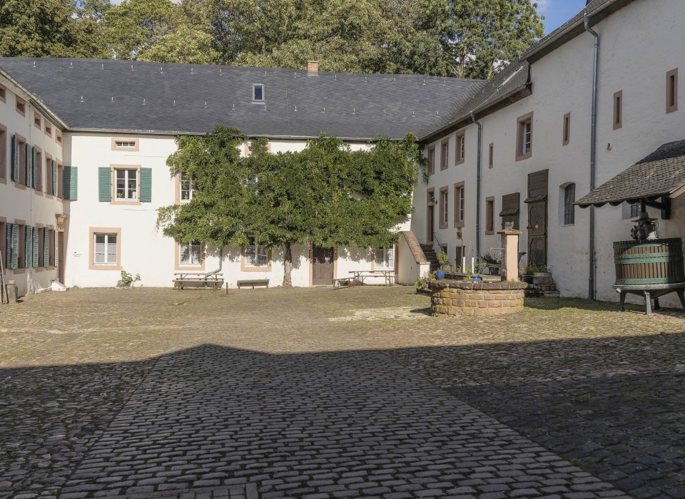 20092023- DSC7092- X